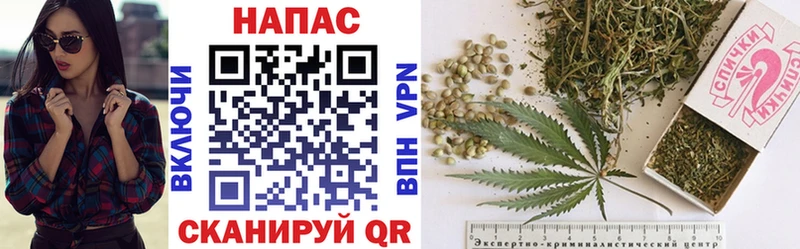 Канабис гибрид  купить  цена  Бикин 